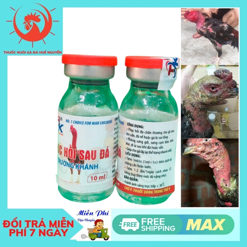 chích gà sưng chân thọt đùi,đi cà nhắc
