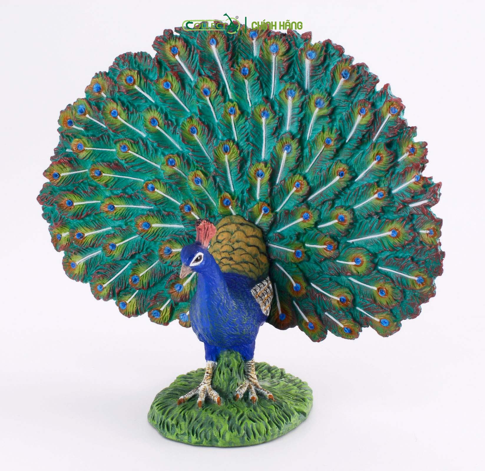 Đồ chơi mô hình động vật CollectA Công - Peacock