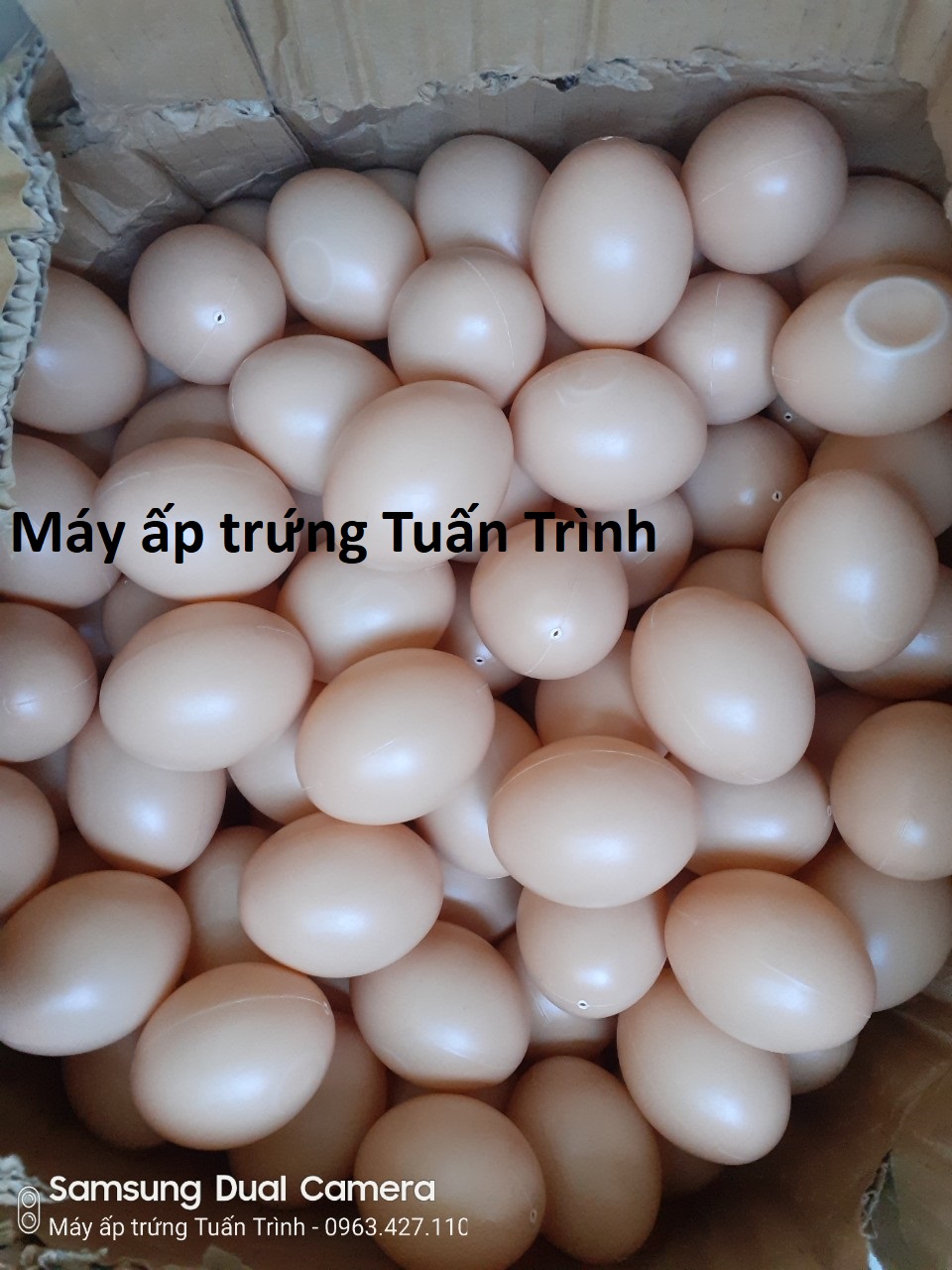 Trứng gà giả