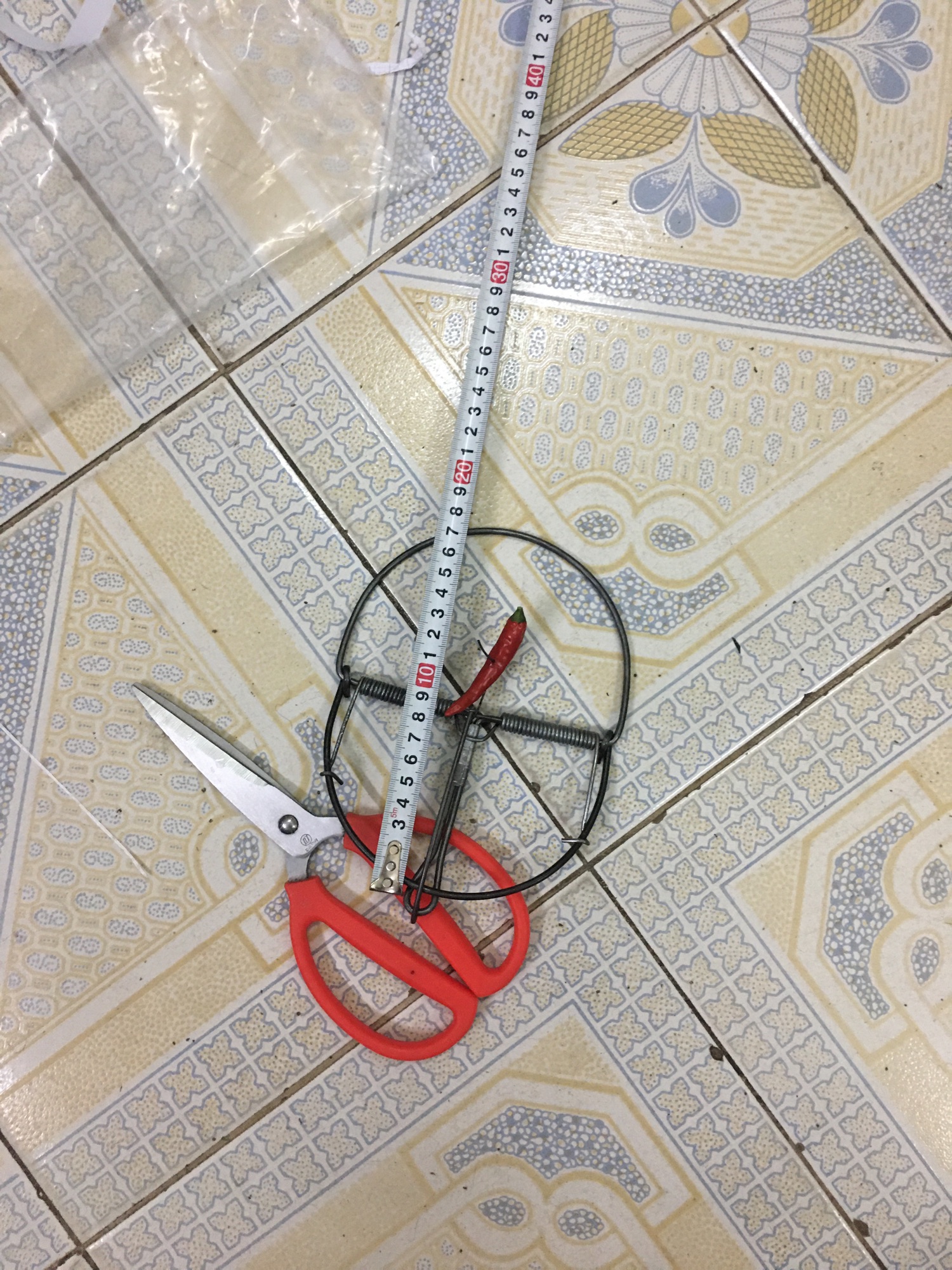10 BẪY CUNG DIỆT CHUỘT HIỆU QUẢ 3 cỡ