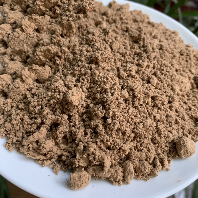 Lingzhi Mushroom Powder 100g - Tons of Production