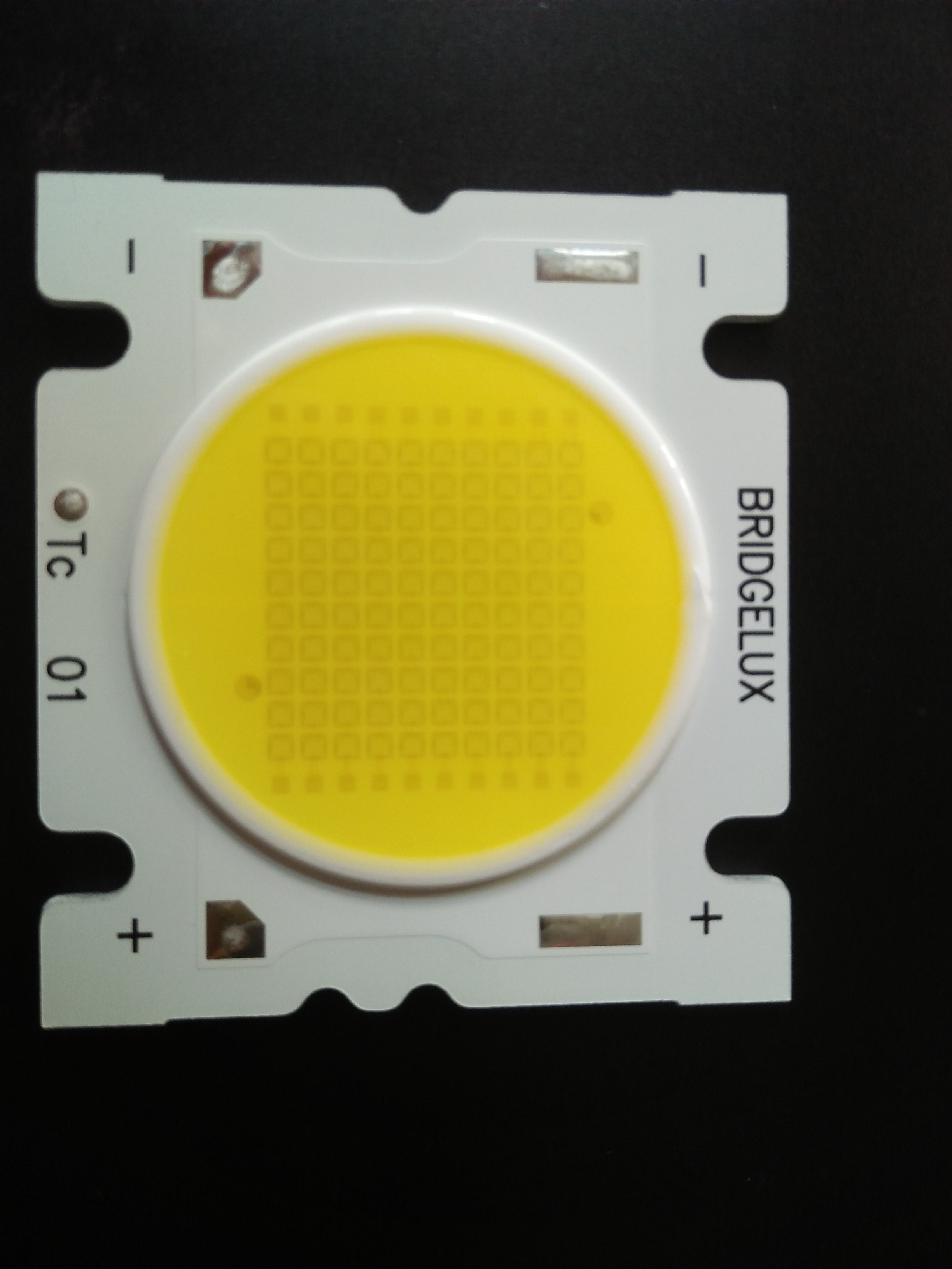 BRIDGELUX USA CHIP LED 100W