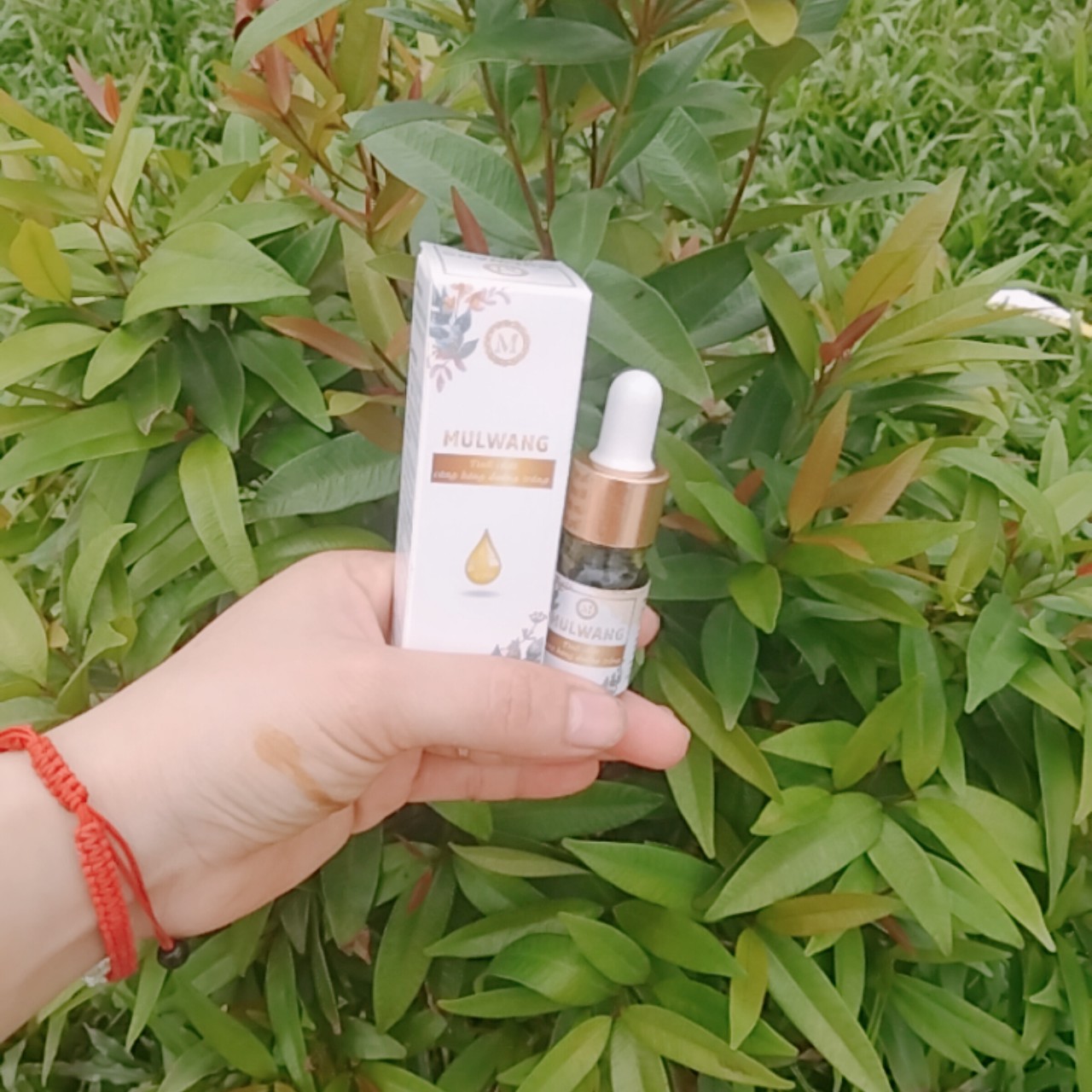 MULWANG TINH CHẤT CĂNG BÓNG DƯỠNG DA