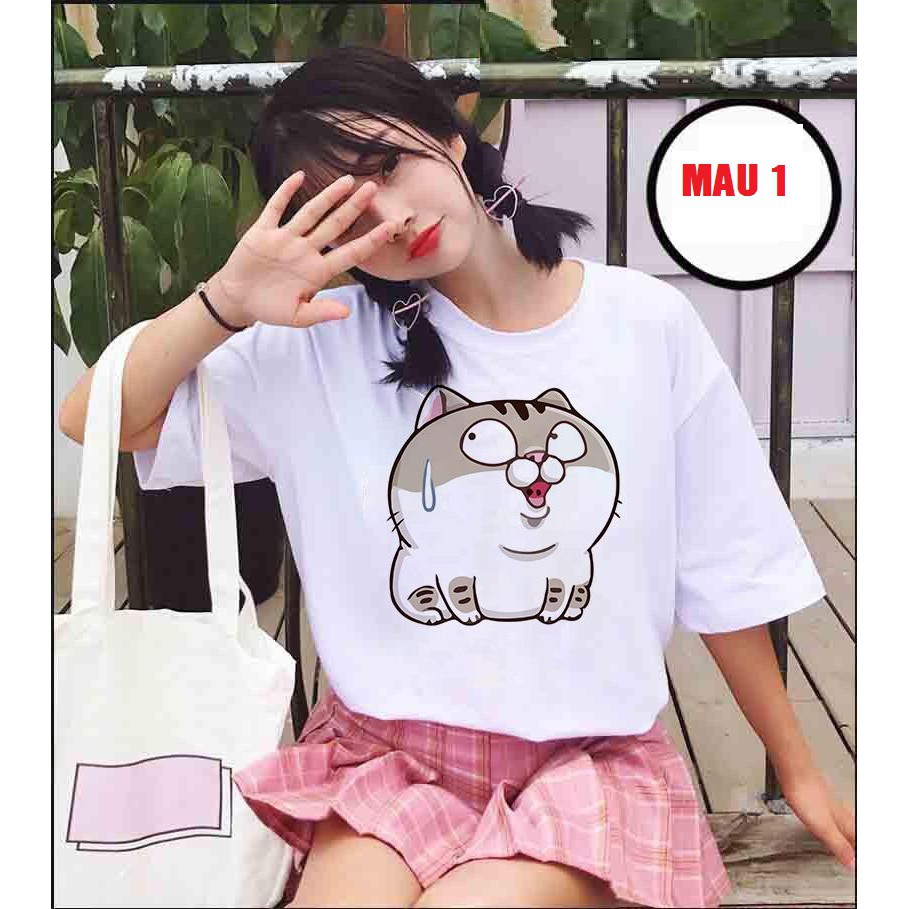 Áo phông mèo Ami bụng bự HARI0520
