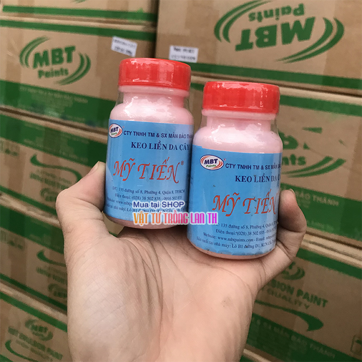Keo liền sẹo da cây Mỹ Tiến - lọ 100g