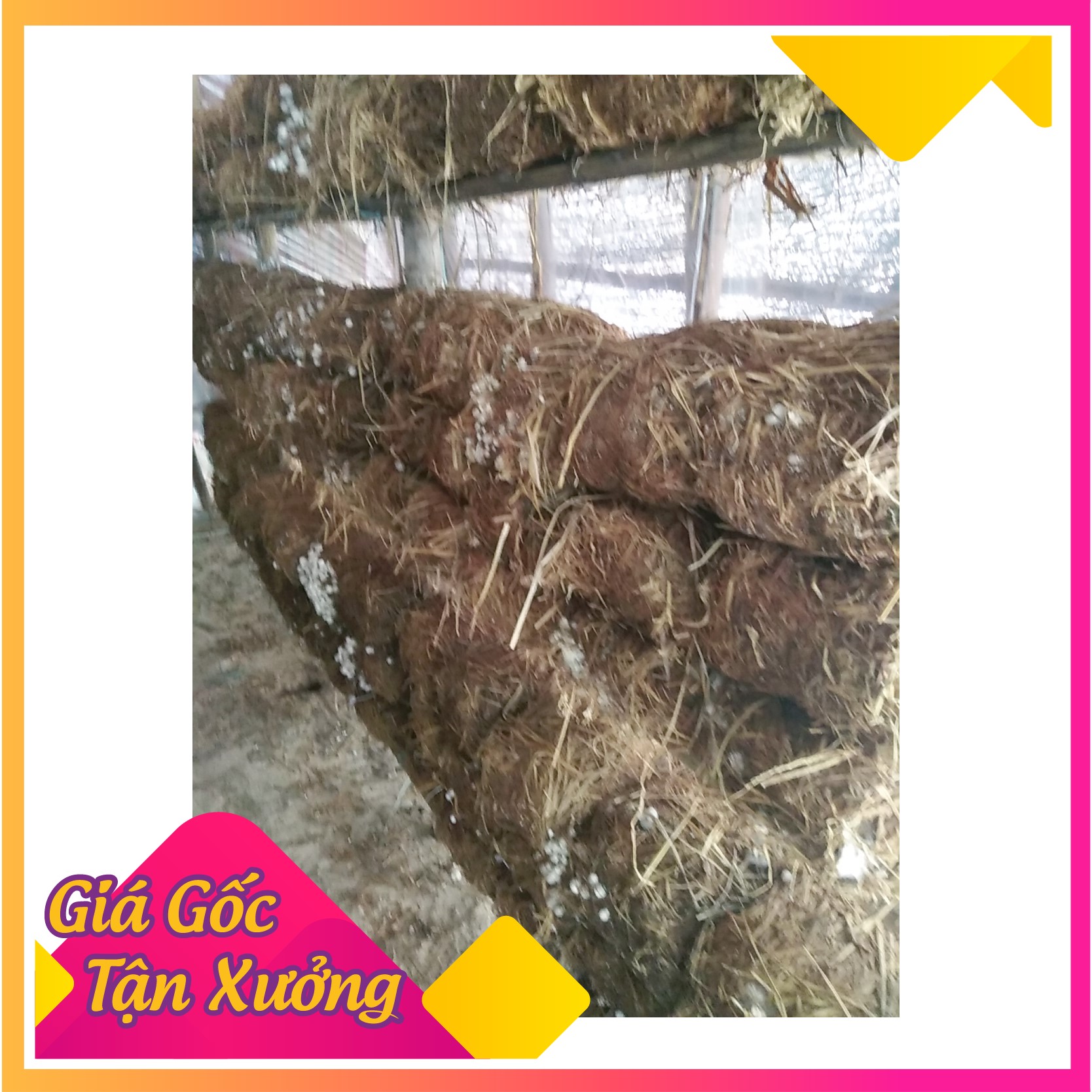 Bột lông vũ dùng cho nấm rơm