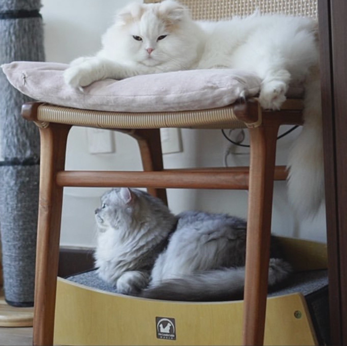 BÀN CÀO MÓNG CHO MÈO - 수제공작소 고양이 해먹 스크래쳐 침대형 - BÀN CÀO MÓNG MÈO