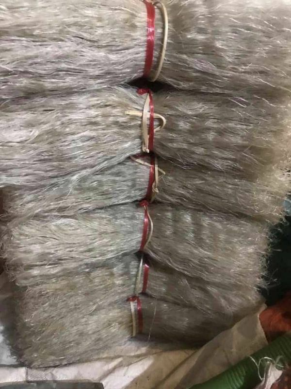 500g miến dong Điện Biên