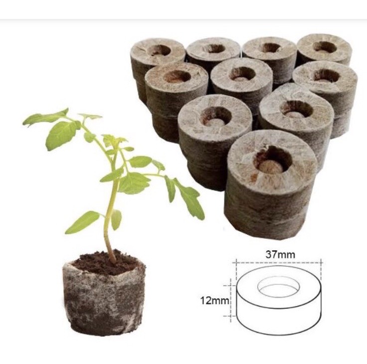 20 Viên Nén Xơ Dừa, Viên Nén Ươm cây, trồng rau thủy canh, chiết cành