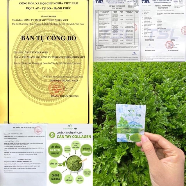 Cần Tây Colagen (chính hãng được kiểm hàng)