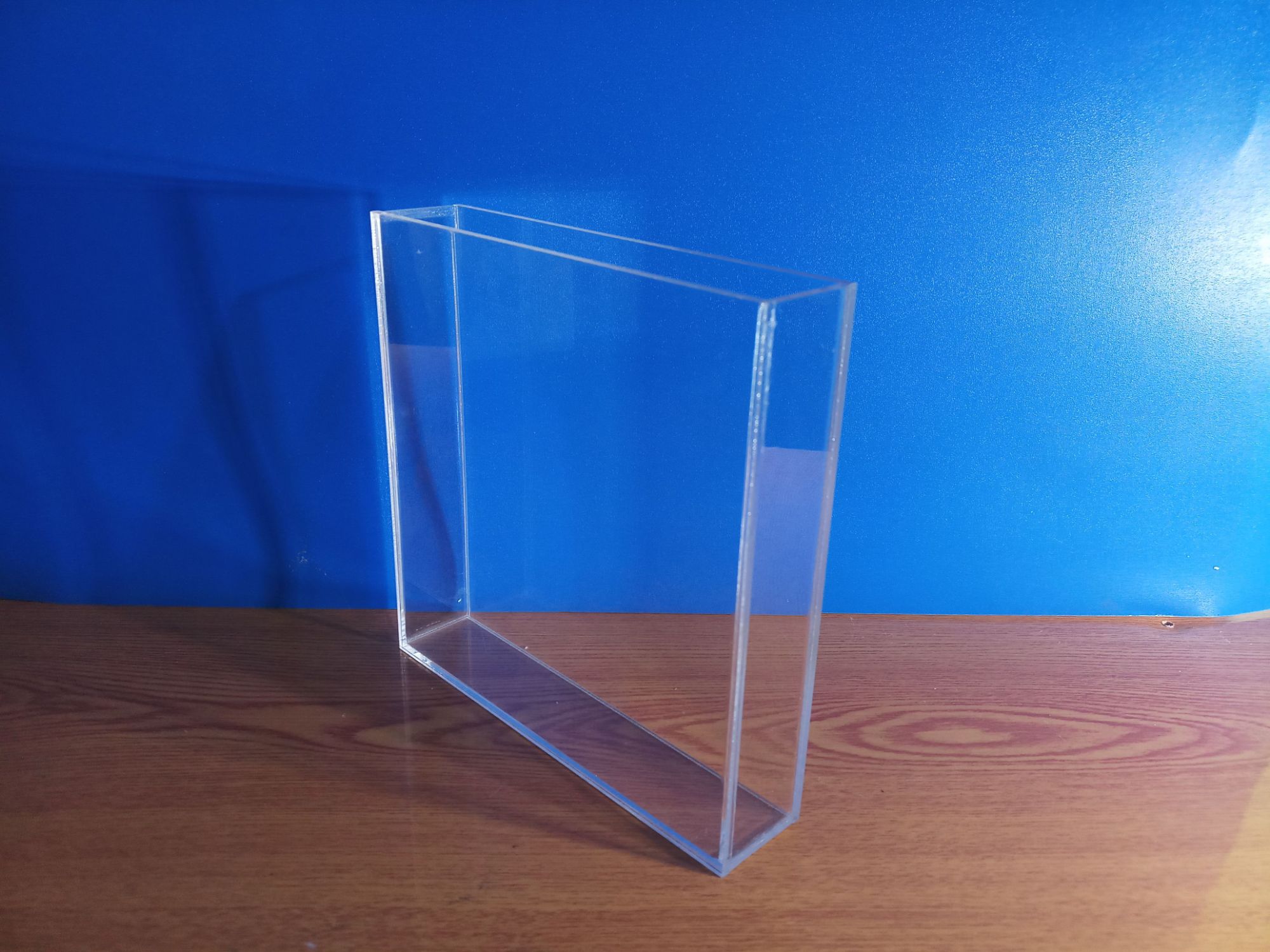 [HCM]hồ show betta mini 12x3x12
