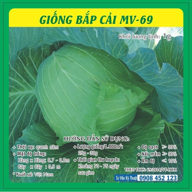 Hạt giống Bắp Cải Xanh