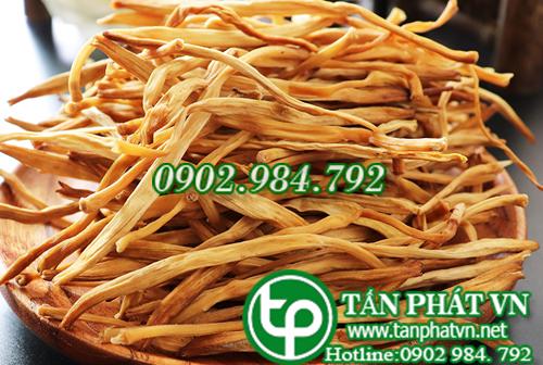 Hoa kim châm sấy khô 100g  - Tấn Phát