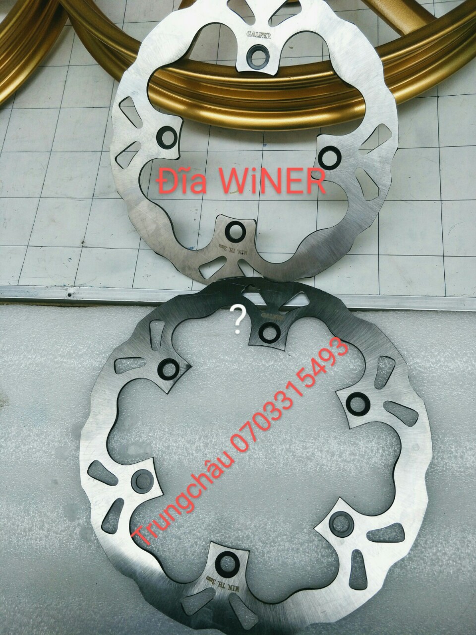 [HCM]Dĩa kiểu WINER