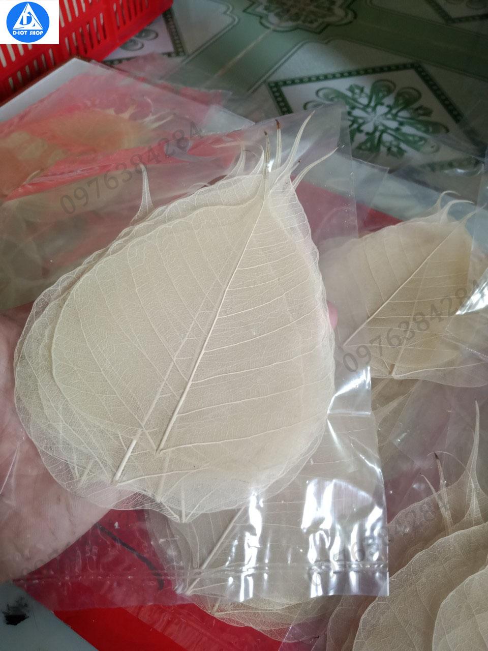 set 20 xương lá bồ đề nguyên bản (tặng 1 cái)