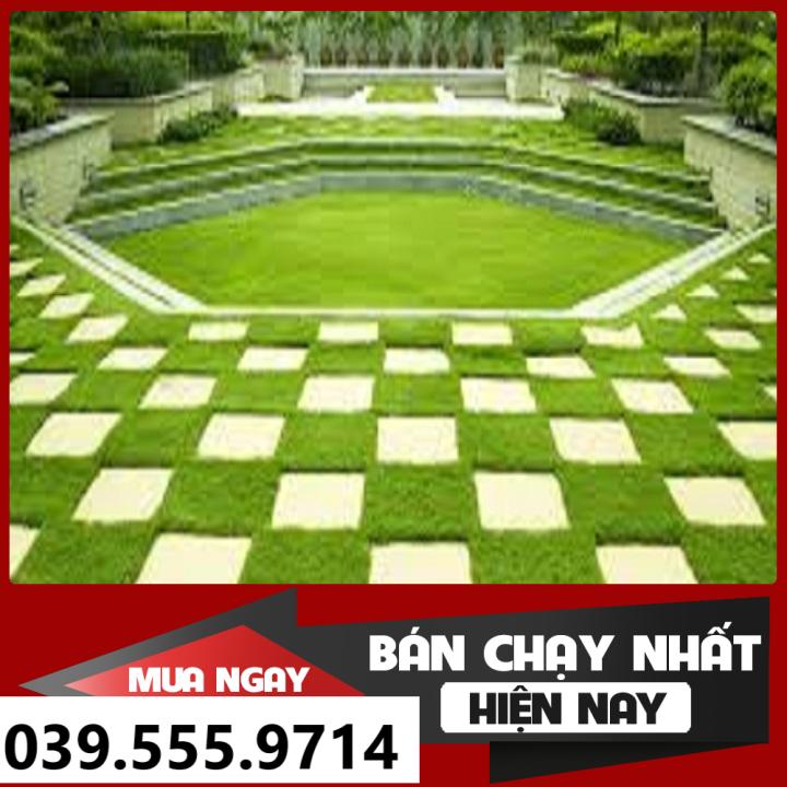 Hạt Giống Cỏ Thảm Sân Vườn BERMUDA 100G