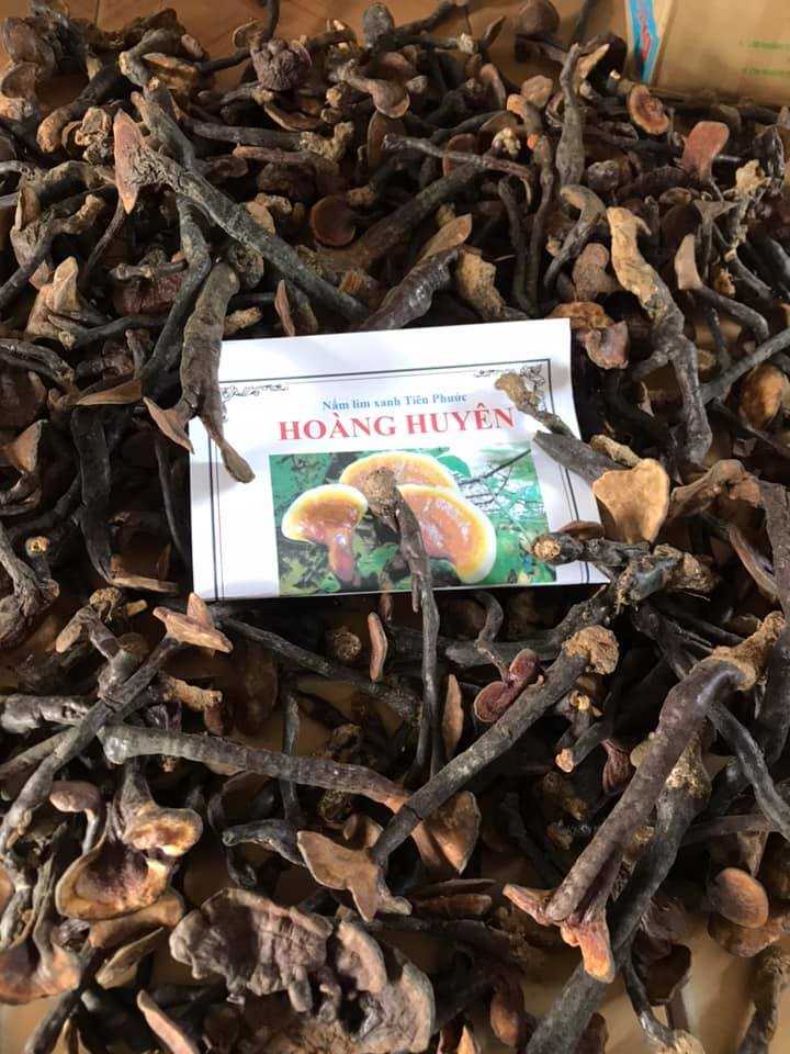 Nấm lim xanh tự nhiên hái trên rừng tiên phước loại nấm nhỏ đvt : 500gram