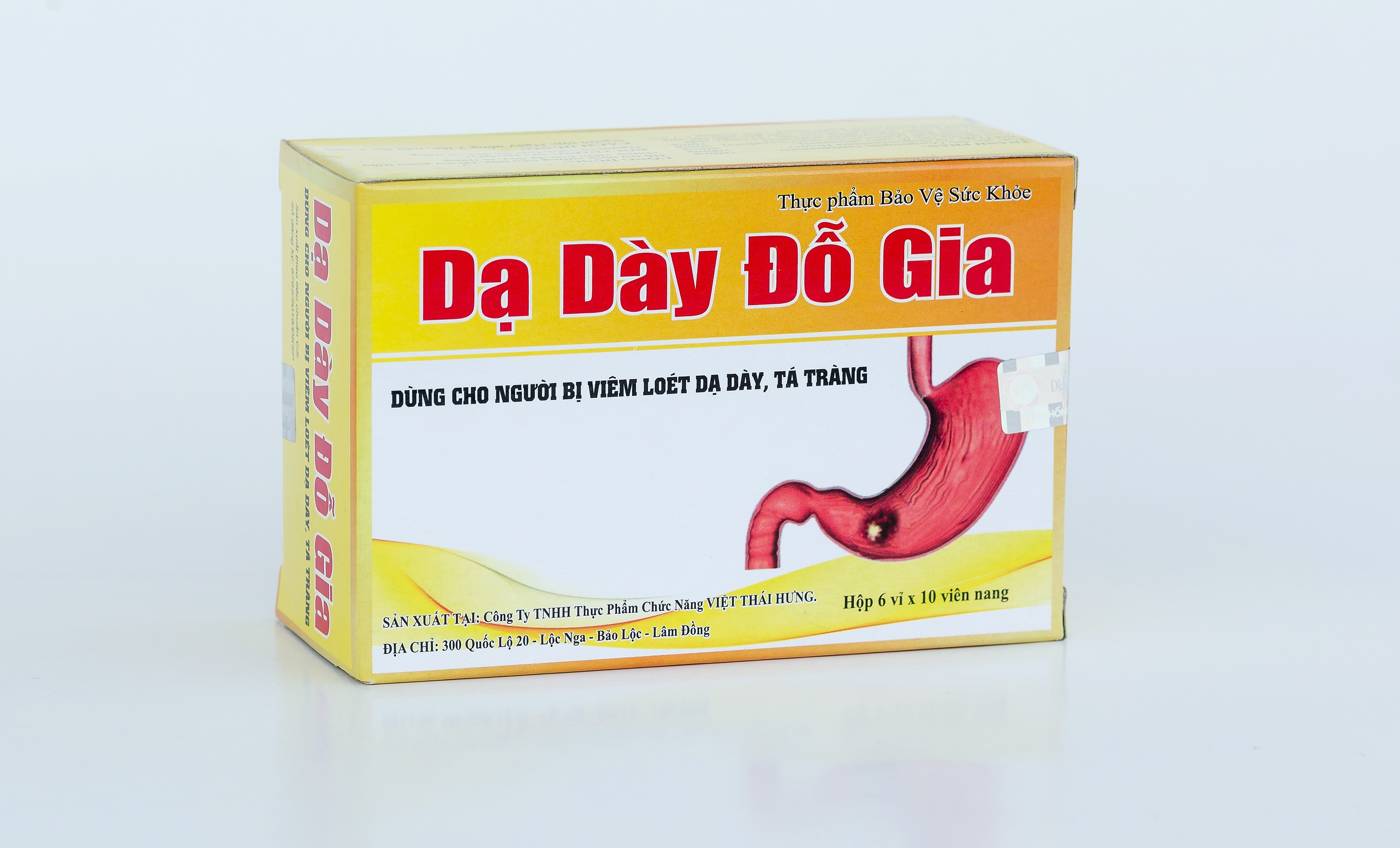 Dạ Dày Đỗ Gia