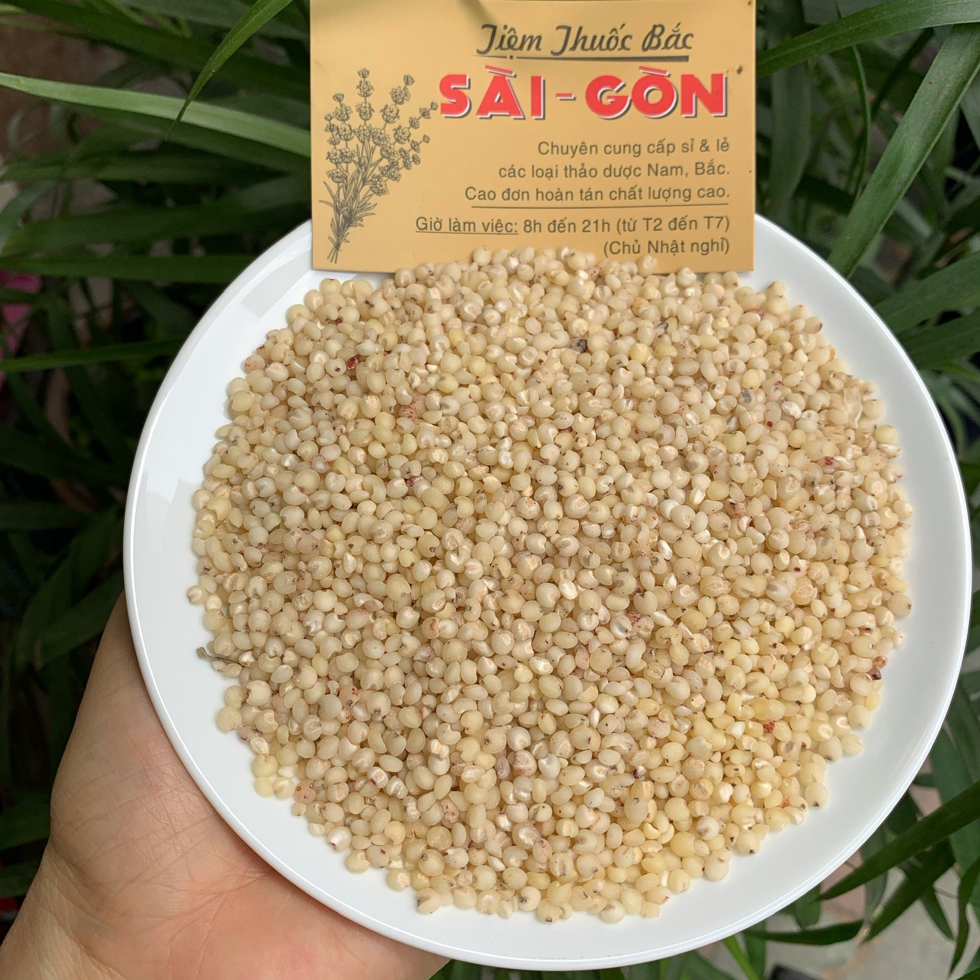 [HCM]Ý Dĩ Hạt Nhỏ 100g