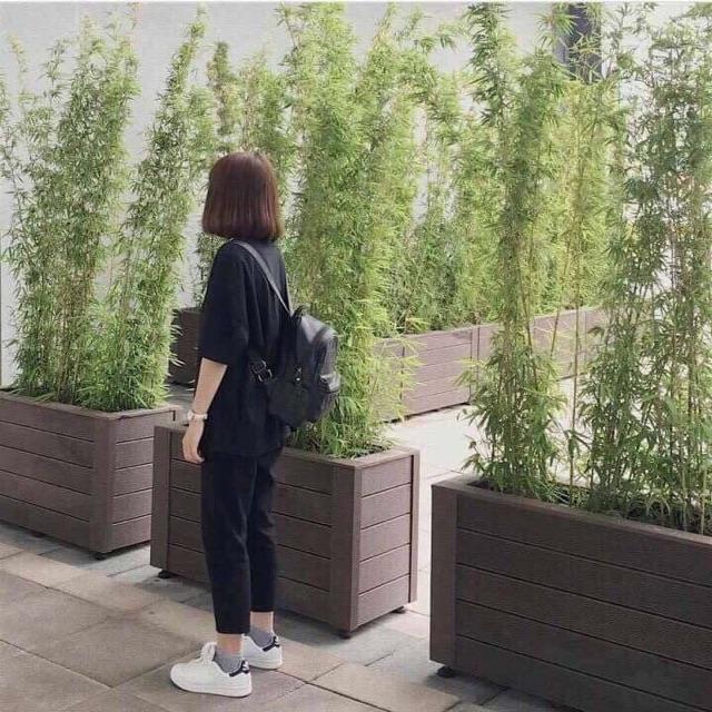 [HCM]QUẦN BAGGY KAKI LƯNG THUN ĐEN