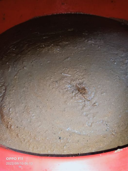 Phân bón đạm cá cô đặc 1kg (nguyên chất từ cá biển tươi giàu đạm)