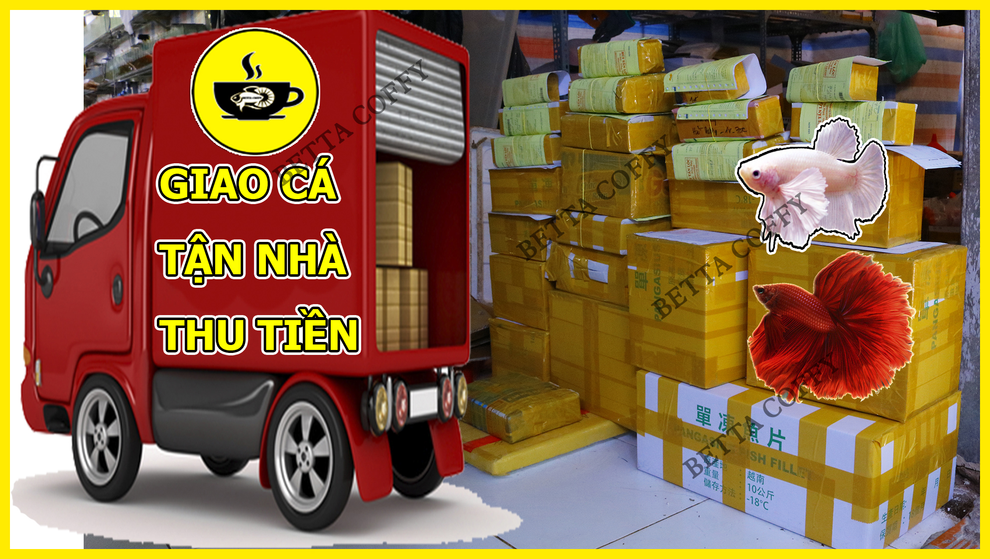 Bio-Nock - Nuôi Cá Cực Khoẻ - Cá Thật Vui Vẻ