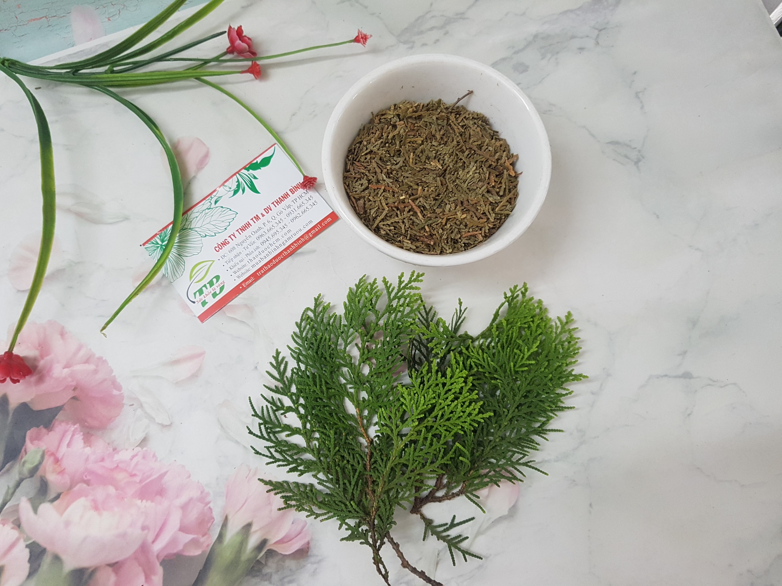 Trắc Bá Diệp 100G - Hàng Công Ty Giá Tốt
