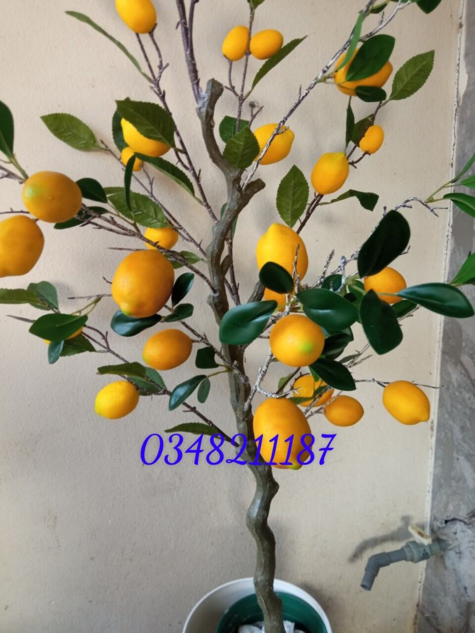 Cành quả chanh giả trang trí