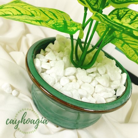 Đá Sỏi Trắng Trang Trí Cỡ Trung