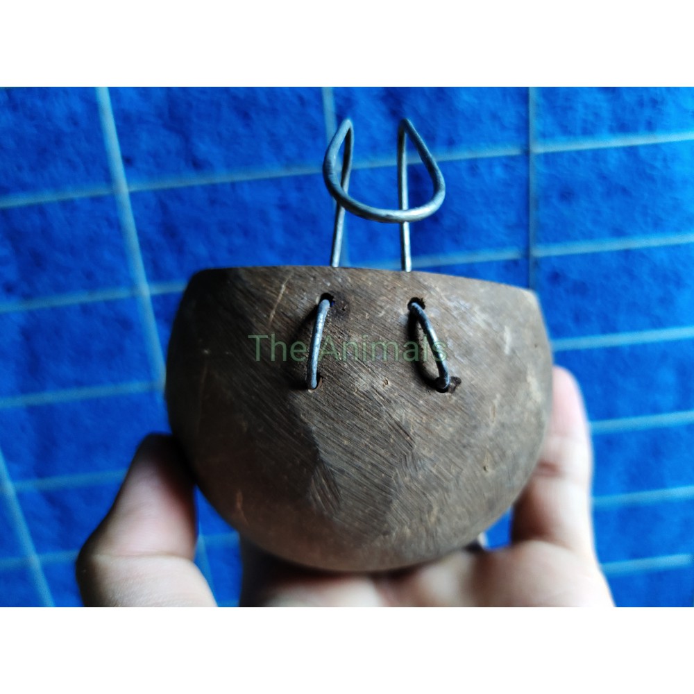 [HCM][Combo 3 cái] cóng đựng thức ăn nước uống cho chim vẹt