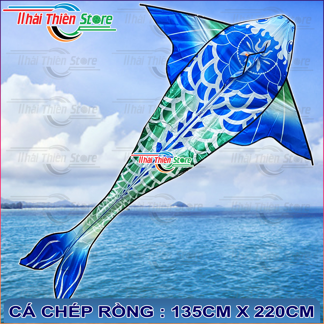 Diều Cá Koi, Chép Rồng Nhiều Màu