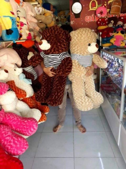 Gấu bông teddy 1m2 khổ vải