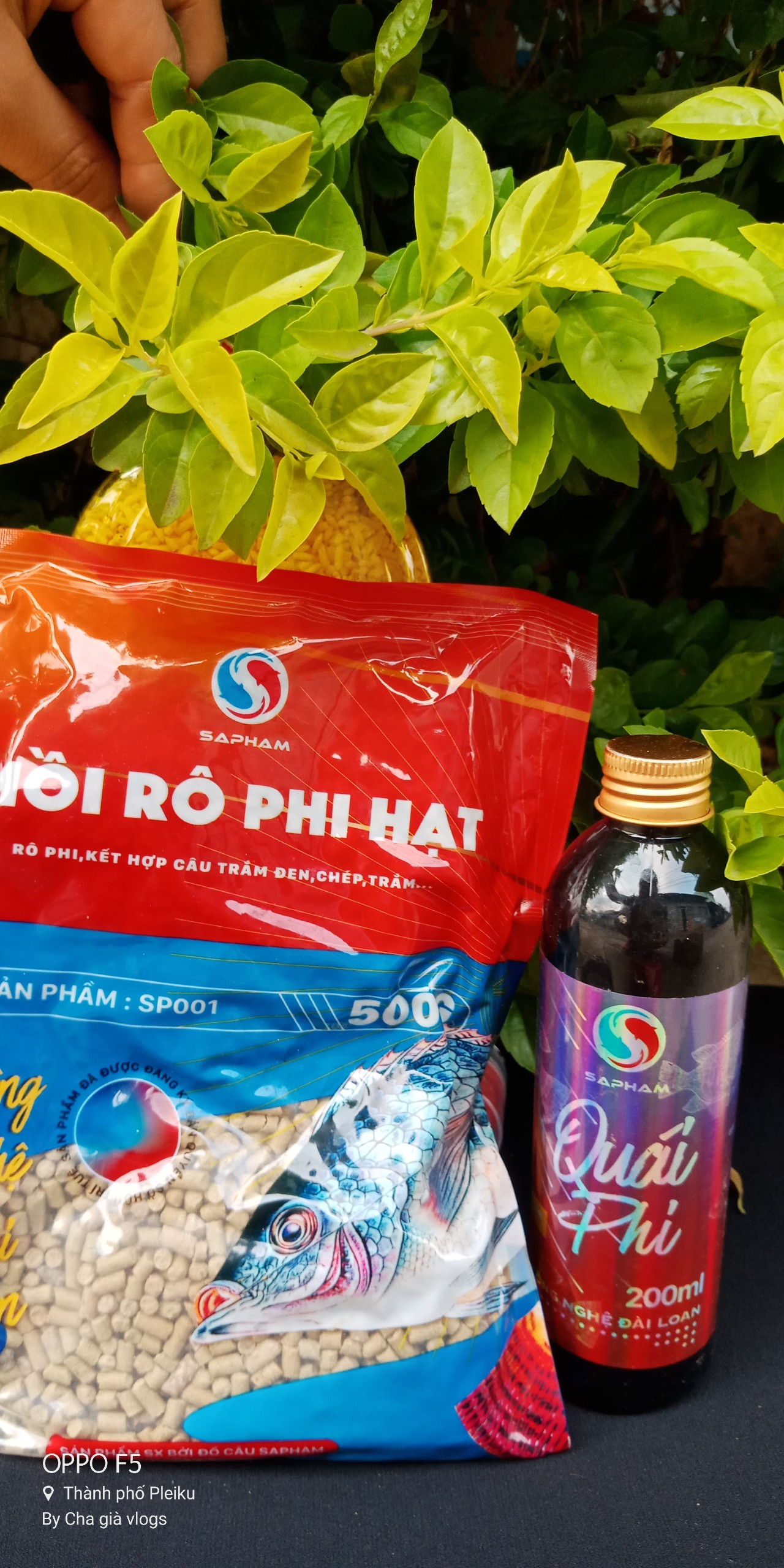 COMBO mồi rô phi hạt sap phạm VÀ quái phi sa phạm