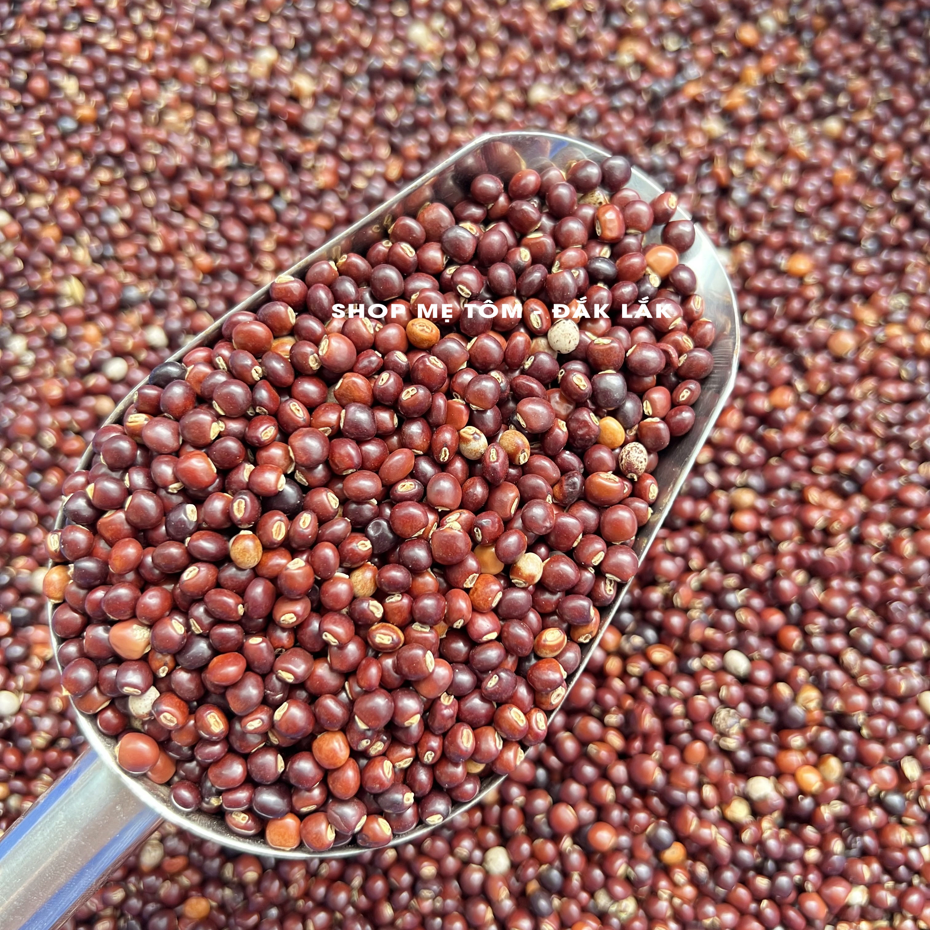 500GRAM ĐẬU SĂNG ĐĂKLĂK (ĐẬU MỘC, ĐẬU CHIỀU...)