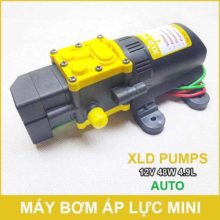 Máy bơm mini 12V 48W 4.9L