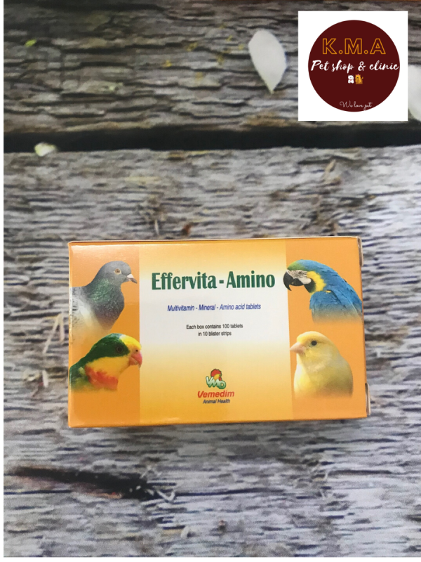 Effervita amino - cung cấp vitamin, khoáng chất, acid amin thiết yếu cho chim cảnh, gà đá - Công ty Vemedim