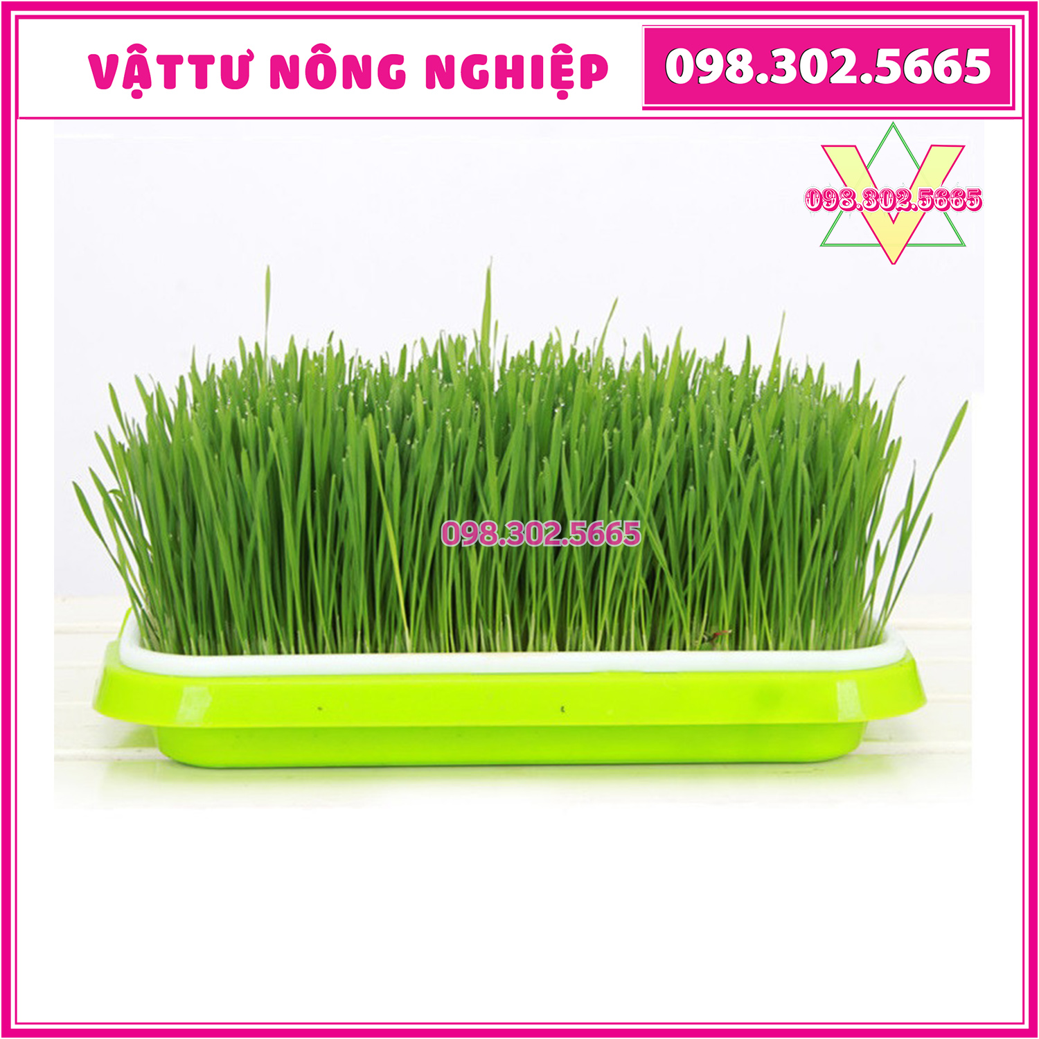 [Siêu Sale] bộ 3 Khay trồng giá đỗ, ươm rau mầm sạch an toàn, diện dụng