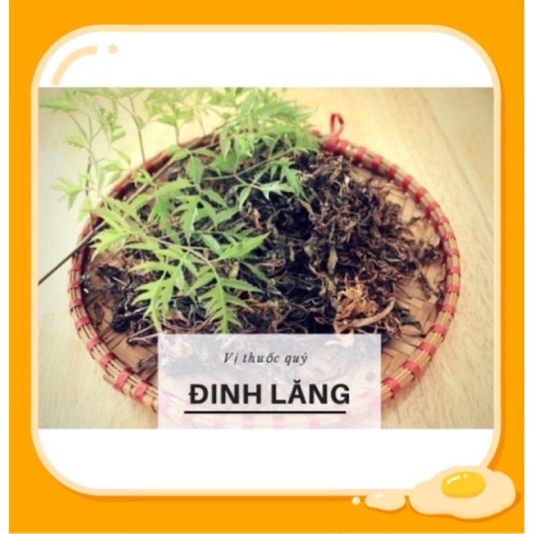 lá đinh lăng khô làm gối
