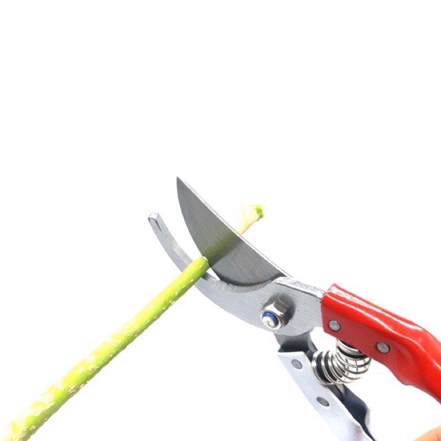 [HCM]kéo cắt cành sk5 cán đỏ trắng ( tặng kèm lò xo + chốt gài sơ cua )