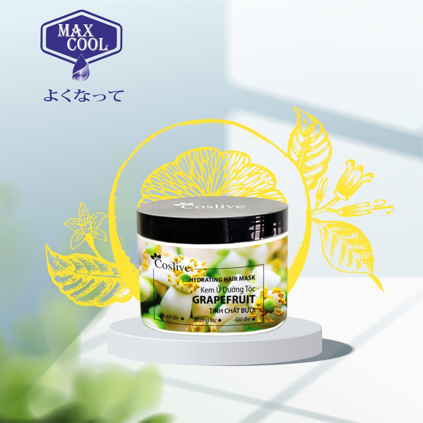 1 hộp Kem ủ dưỡng tóc tinh chất bưởi (Coslive Hydrating Hair Mask) 500gr