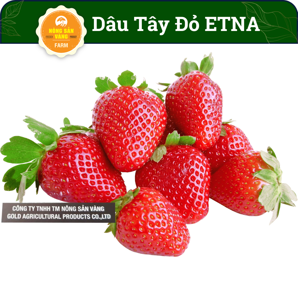 Red strawberry seeds Etna are the most popular, sour taste sweet and sour sweet easy crushing and many nutritional value (0.05 grams)-shallow gold
