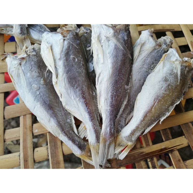 KHÔ CÁ LÙ ĐÙ ĐẤT MŨI
