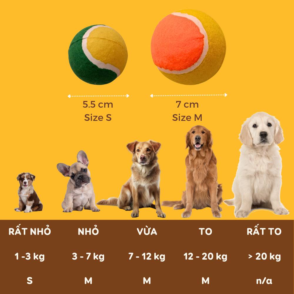 [Quà tặng không bán] Banh tennis size M