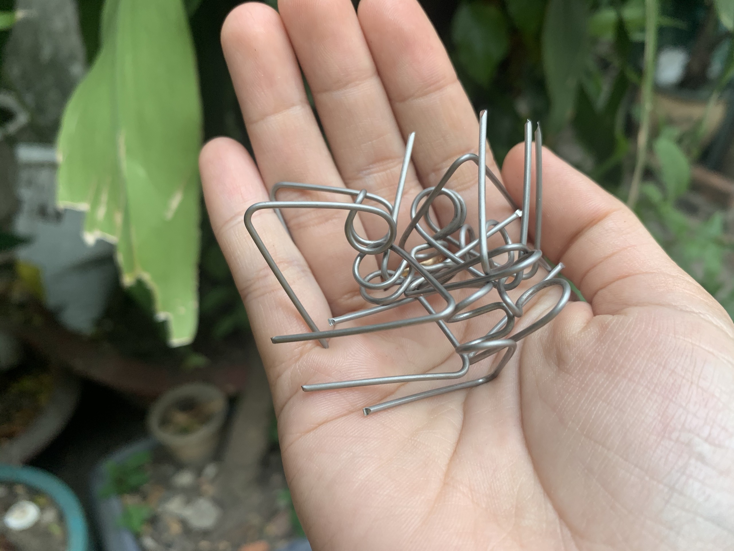 [HCM]PHE CÀI GIỮ BỐ CHO HEO BREM