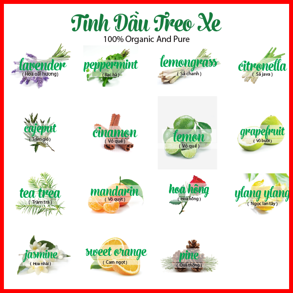 [HCM]Tinh Dầu Treo Xe Ngọc Lan Tây