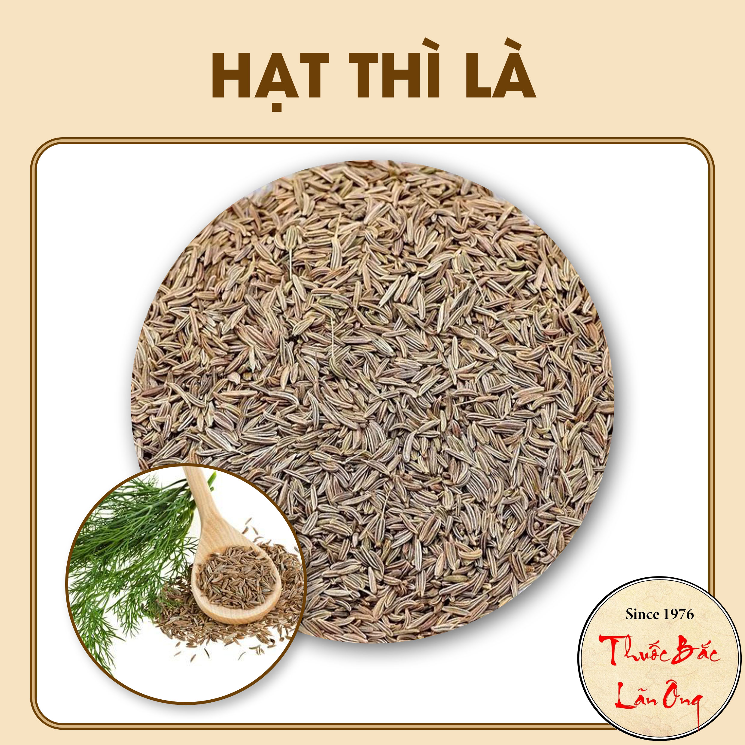 Hạt thì là ấn độ organic 500g