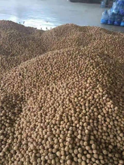 Quả óc chó cao cấp 1kg