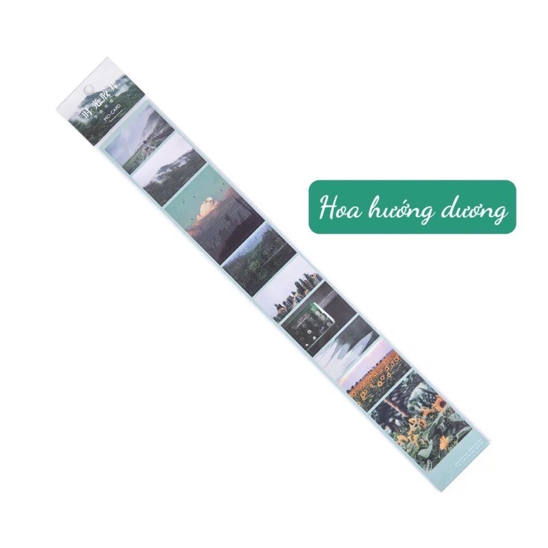 Dải ảnh dán phong cảnh làm bullet journal