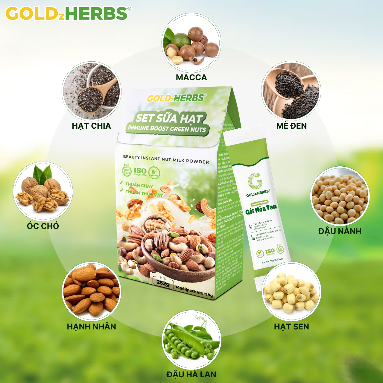 Set Sữa Hạt Goldzherbs Immune Boost Green Nuts – 14 gói x18g/ 500g