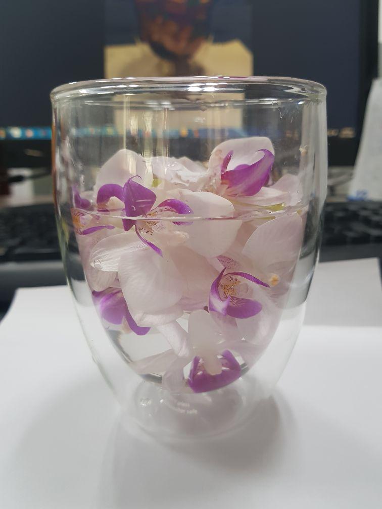 Ly Thủy Tinh 2 Lớp - 350 ml